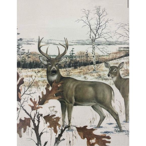 Buck Accents Buck Doe Print By J Lockhartwood Frame Poshmark